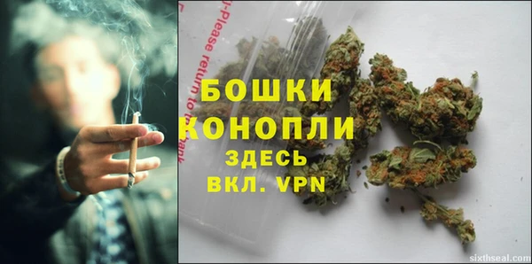 apvp Горнозаводск