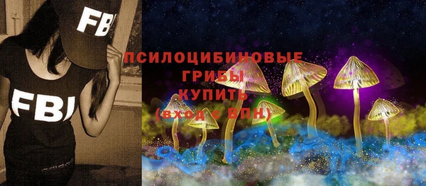 apvp Горнозаводск